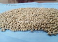 BLACK WHITE PEPPER WHOLESALE BEST PRICE 3