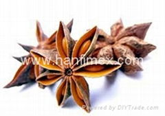 STAR ANISE SEASON AUTUMN 2014