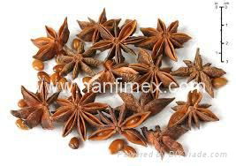 STAR ANISE SEASON AUTUMN 2014 2