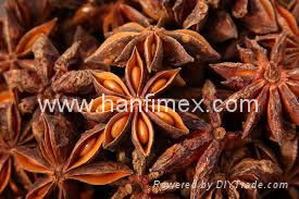 STAR ANISE SEASON AUTUMN 2014 3