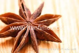 STAR ANISE SEASON AUTUMN 2014 4