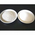 dicalcium phosphate (DCP)