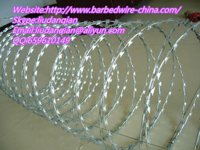 Razor Barbed Wire 3