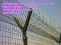 Razor Barbed Wire 5