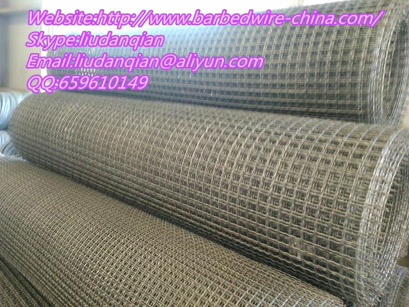 Crimped Wire Mesh 2