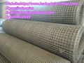 Crimped Wire Mesh 2