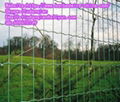 Euro Fence 1