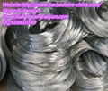 Stainless Steel Wire