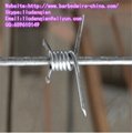 Single Twist Barbed Wire