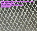 Linear Razor Barbed Wire 1