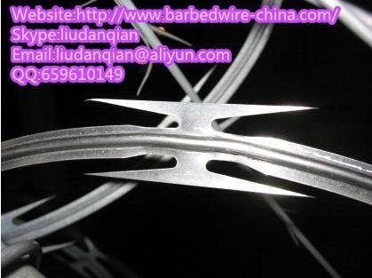 Linear Razor Barbed Wire 2