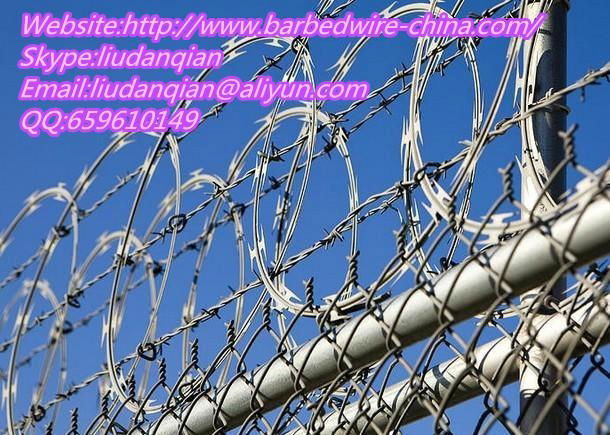 Flat Razor Barbed Wire 4