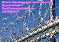 Flat Razor Barbed Wire 4