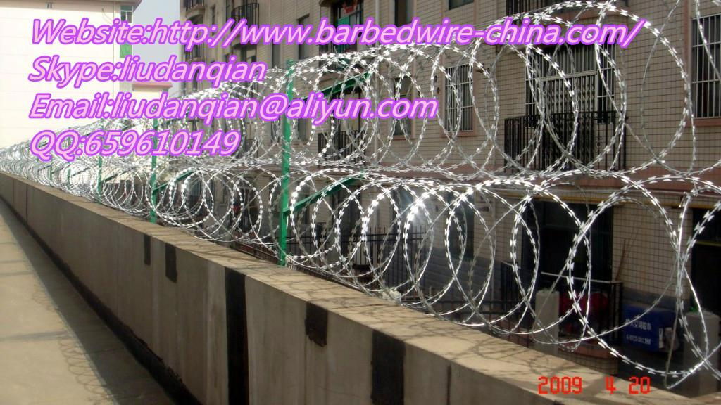 Flat Razor Barbed Wire 5