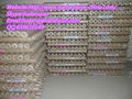 Hexagonal Wire Mesh 3