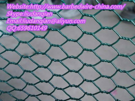 Hexagonal Wire Mesh 5