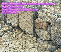 Gabion Mesh