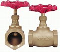 valve 1