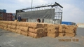 Best price for coconut fiber 3