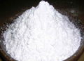 Best price for Tapioca Starch