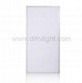 LED Panel Light 600*1200