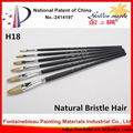 Professional Natural Bristle Brushes set