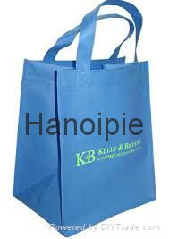 Eco Friendlly Non Woven Bags 2