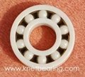 6005 ZRO2 Ceramic bearing