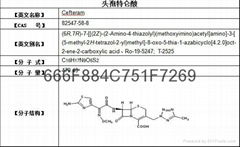 头孢特仑新戊酯