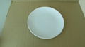 Melamine plate