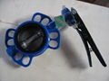 Wafer butterfly valve 1