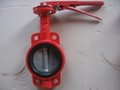 Wafer Type One Half Shaft Butterfly Valve Without Pin  2
