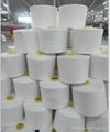 100% spun polyester yarn for sewing thread 40/2