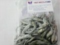 Dried Anchovy 3
