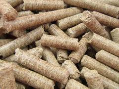 Rice Husk Pellet