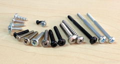 precision screw  precision fastener  electronic screw nut