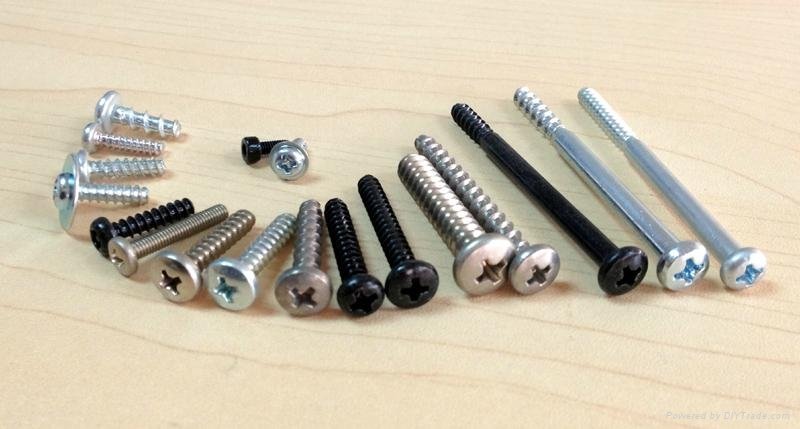 Precision fastener  precision screw electronic screw nut