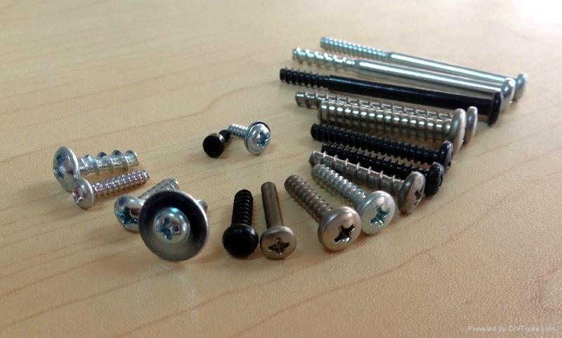 Precision fastener  precision screw electronic screw nut 2