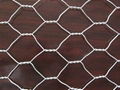 Hexagonal Wire Mesh 2