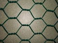 Hexagonal Wire Mesh 3