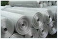 Welded Wire Mesh 1