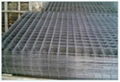 Welded Wire Mesh 4