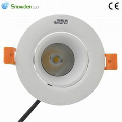 Phlips CREE Chip LED Ceiling Lighting