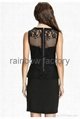 New Model Dress 2014 Women Black Lace Bodycon Club Clothes 3
