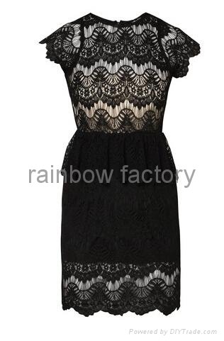 New Ladies Dress Cap Sleeve Black Lace Peplum Plus Size Dress 5