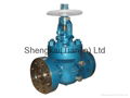   Z43 SeriesSlab Gate Valve 1