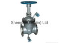 Z41Tc Series Ceramics Gate Valve with Blow-Sweep Hole