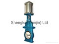  FZ series Ceramic Dry Ash Gate Valve  1