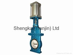 FZ series Ceramic Dry Ash Gate Valve