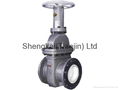 DZ Series Ceramic Wedge Dregs-delivering Gate Valve